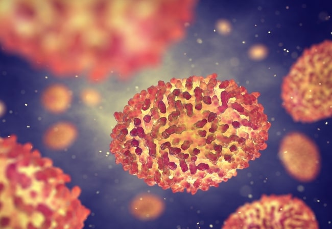 Modified Vaccinia Virus Ankara